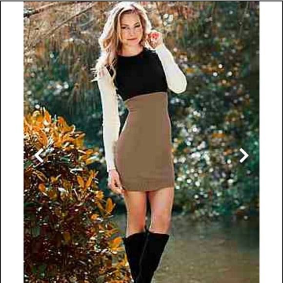 Color block sweater dress