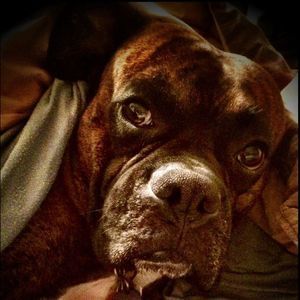 Meet your Posher, Margie