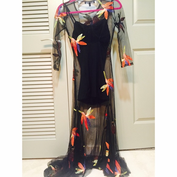 For Love and Lemons Birds of Paradise - Picture 3 of 4