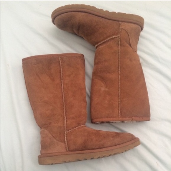 Chestnut uggs
