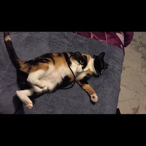 Meet your Posher, Breanna