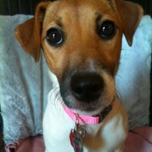 Meet your Posher, Chloe