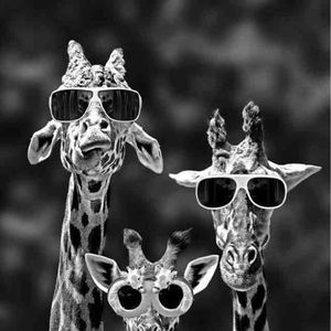 Meet your Posher, Nassim