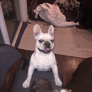 Meet your Posher, Brandon