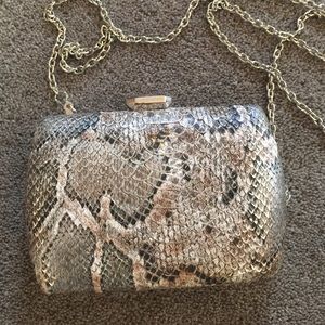Gorgeous Snake Skin design clutch purse