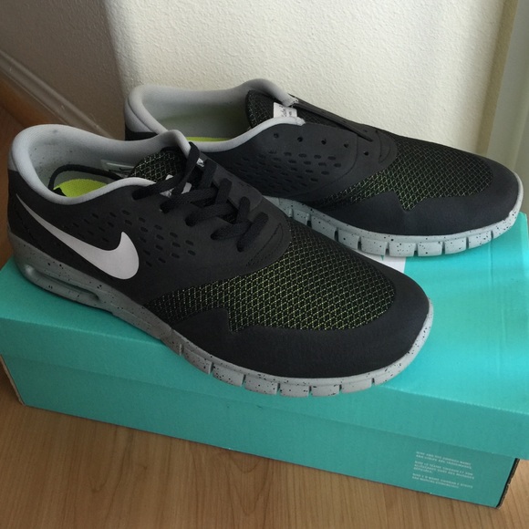 Nike SB Eric Koston 2 Max Shoes