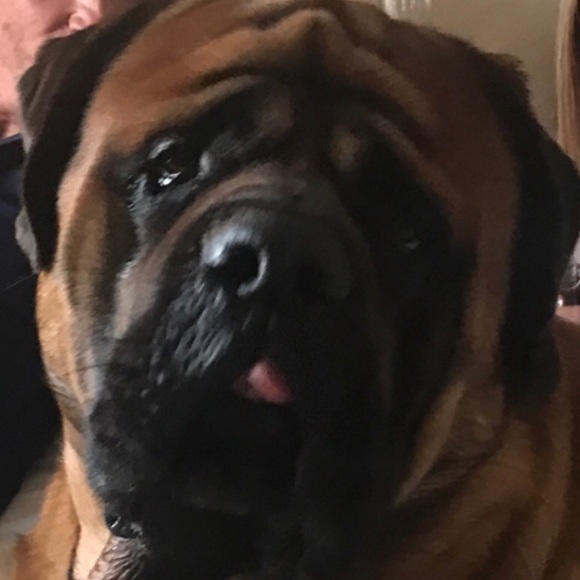 Meet your Posher, Misty - Picture 2 of 2