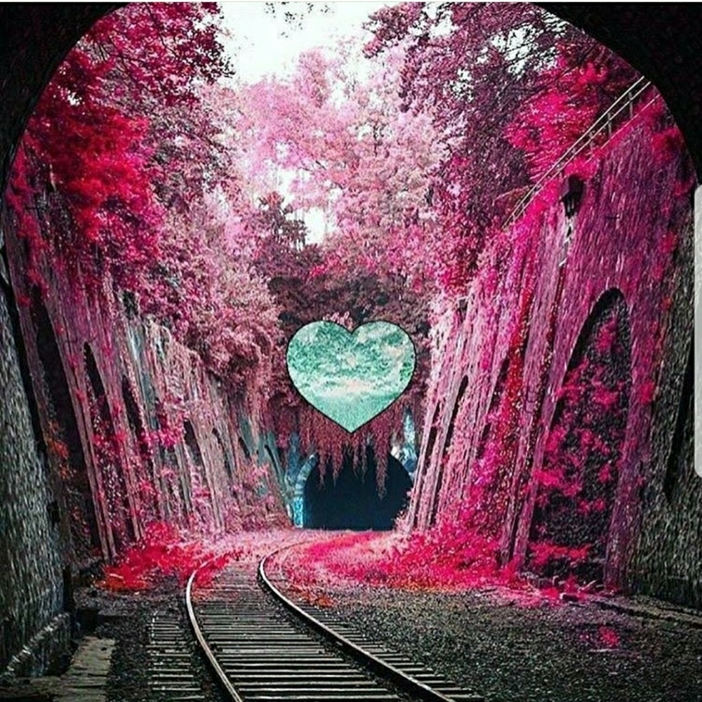 Meet your Posher, Elisa