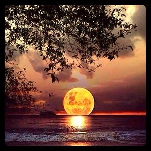 "The joy of dressing is an art." -John Galliano