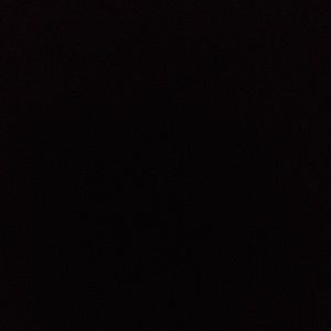 Meet your Posher, Dasha