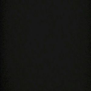 Meet your Posher, Camille