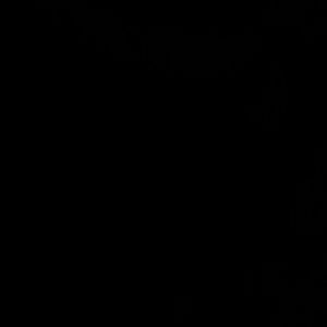 Meet your Posher, Carl