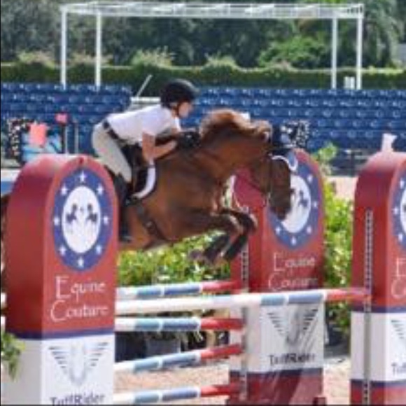 Meet your Posher, Sue ann - Picture 4 of 4