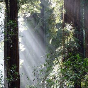 Meet your Posher, Miranda