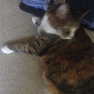 Meet your Posher, Kelly