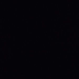 Meet your Posher, Jared