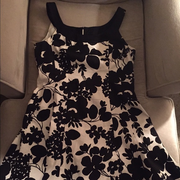Jones Of New York Dress, Size 14