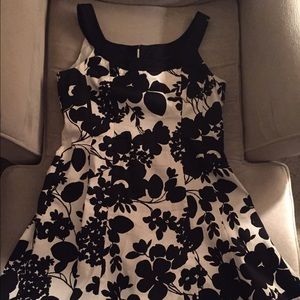 Jones Of New York Dress, Size 14