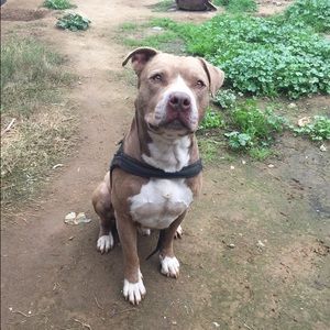 Meet your Posher, Tristan