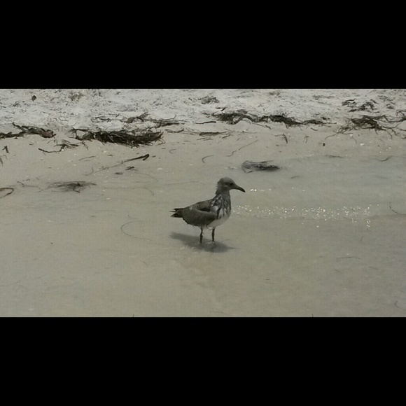 Meet your Posher, Carolyn