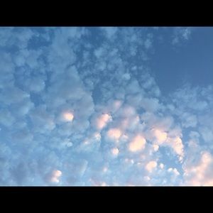 Meet your Posher, Marie