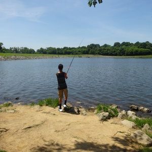 Meet your Posher, Armond