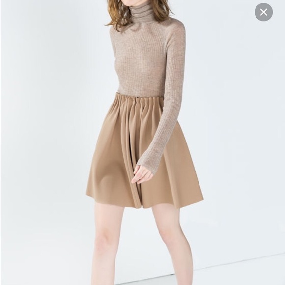 NWT Zara skirt