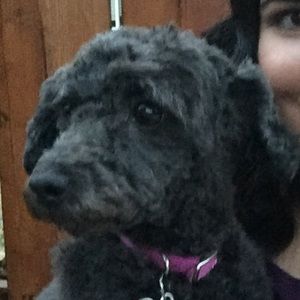 Meet your Posher, Veronica