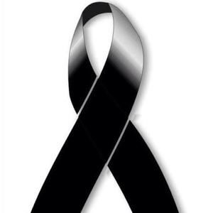 Meet your Posher, Ernesto