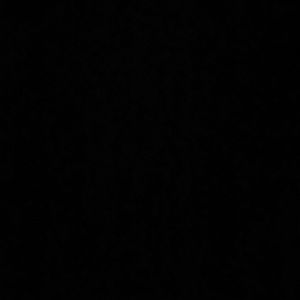 Meet your Posher, Tyvesha