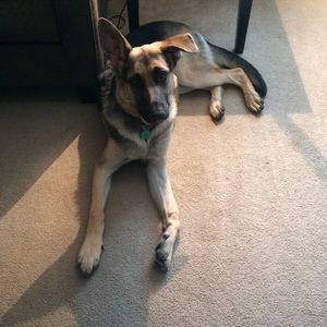 Meet your Posher, Sierra