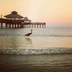 Meet your Posher, Steven