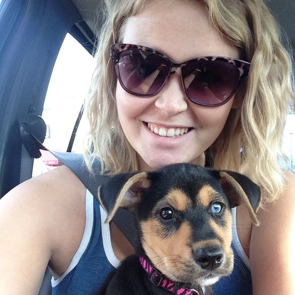 Meet your Posher, Bailey - Picture 1 of 1