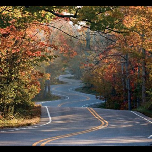 Meet your Posher, Macie - Picture 1 of 1