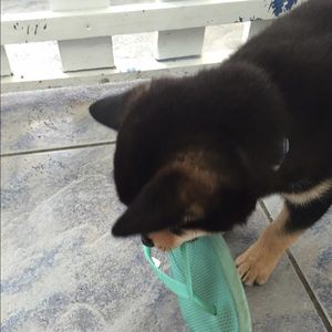 Meet your Posher, Cheryl