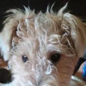 Meet your Posher, Khia