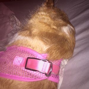 Meet your Posher, Sandra