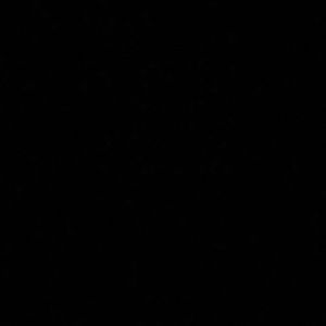 Meet your Posher, Alyce