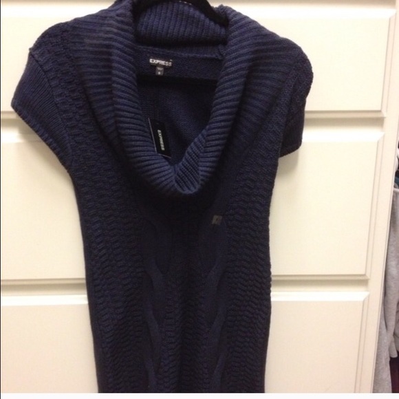 Express sweater dress