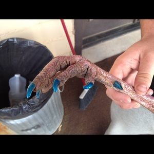 Meet your Posher, Greg