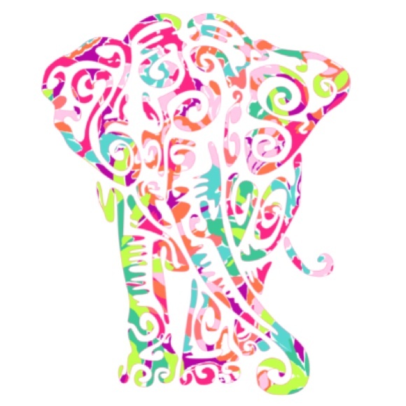 6 inch Lilly Tribal elephant in print 23