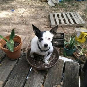 Meet your Posher, Christina