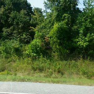 Meet your Posher, Frank