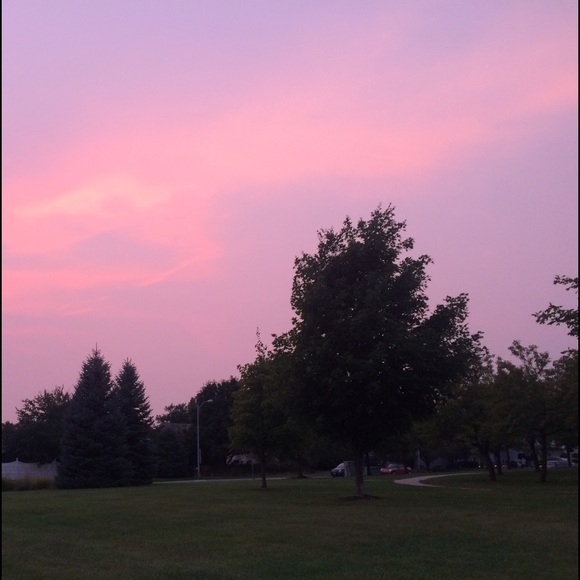 Meet your Posher, Hailee - Picture 1 of 1