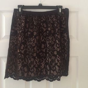 Loft lace skirt