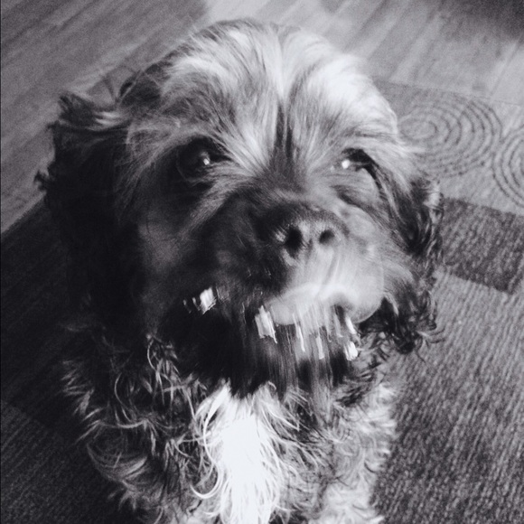 hi. - Picture 3 of 3