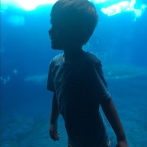 Meet your Posher, Molly