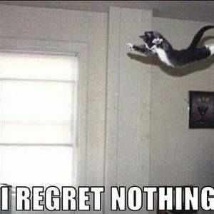 Meet your Posher, Lorie