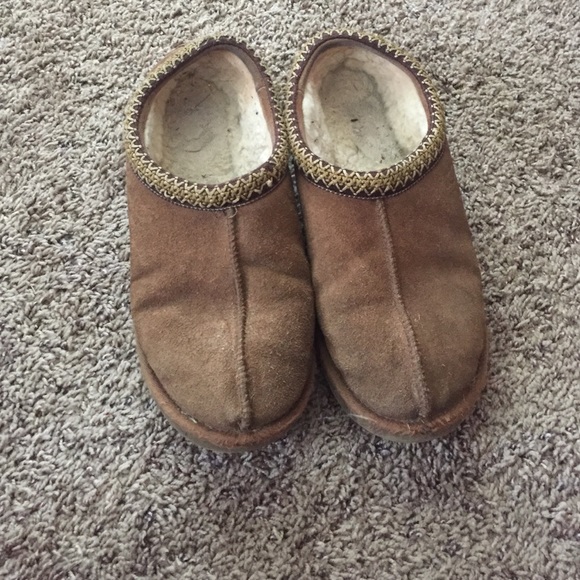 Chestnut tazman uggs