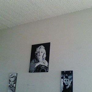 Meet your Posher, Leo